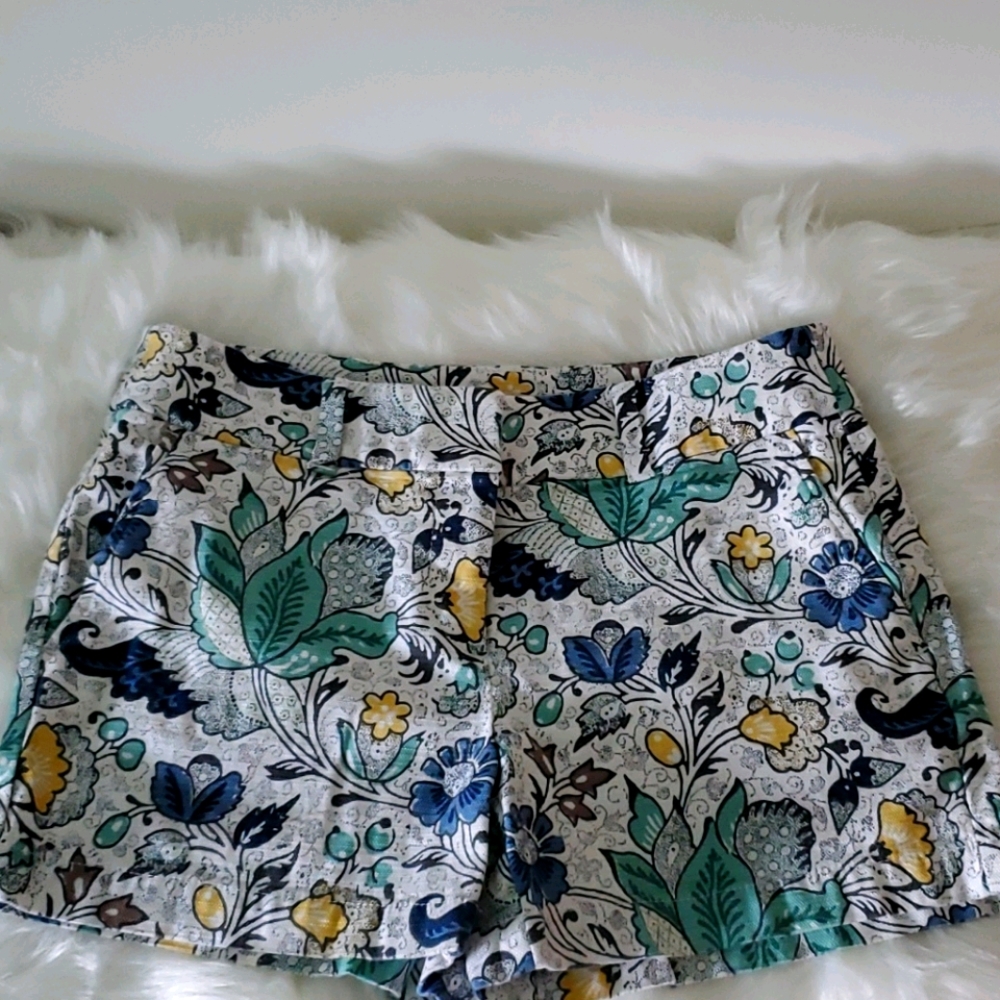 Loft shorts.  Size 2